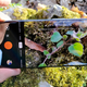 Imagen para el artículo titulado Las cámaras afinadas por Hasselblad convierten al OnePlus 9 Pro en el rey de la gama alta Android